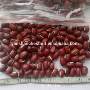 High Quality Red Adzuki Beans Small Red Kidney Bean